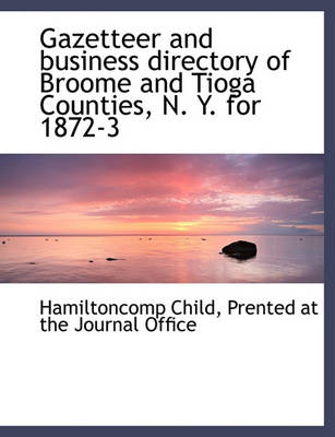 Book cover for Gazetteer and Business Directory of Broome and Tioga Counties, N. Y. for 1872-3