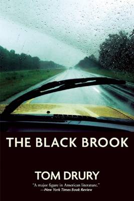 Book cover for The Black Brook