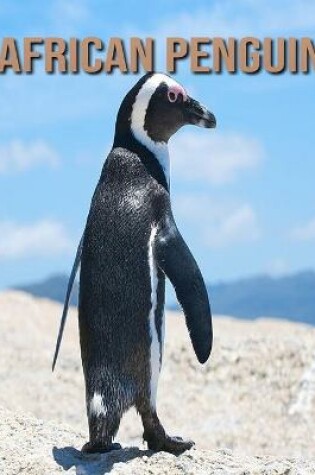 Cover of African penguin