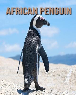 Book cover for African penguin