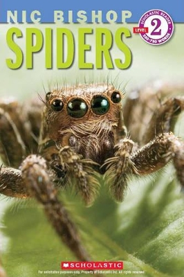 Book cover for Spiders (Nic Bishop: Scholastic Reader, Level 2)