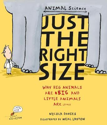 Book cover for Just the Right Size