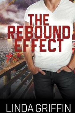 Cover of The Rebound Effect