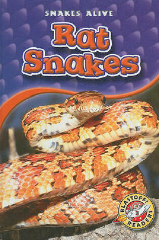 Cover of Rat Snakes