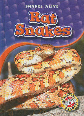 Book cover for Rat Snakes