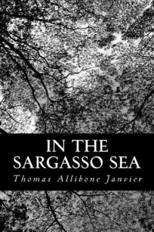 Cover of In the Sargasso Sea