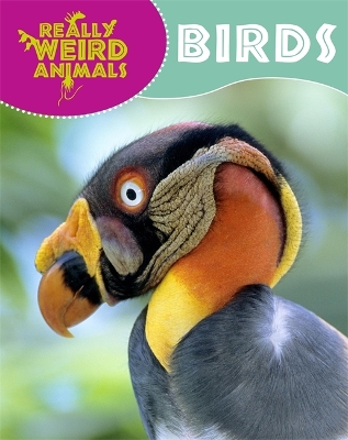 Book cover for Really Weird Animals: Birds