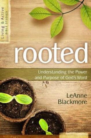 Cover of Rooted