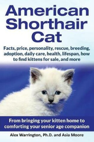 Cover of American Shorthair Cat