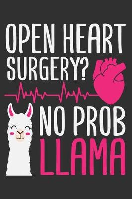Book cover for Open Heart Surgery? No Prob Llama