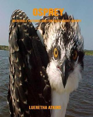 Book cover for Osprey