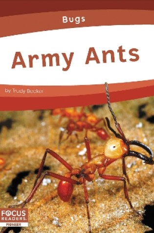 Cover of Bugs: Army Ants