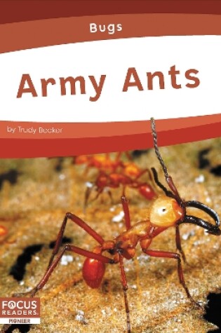 Cover of Army Ants