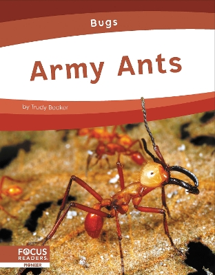 Book cover for Bugs: Army Ants