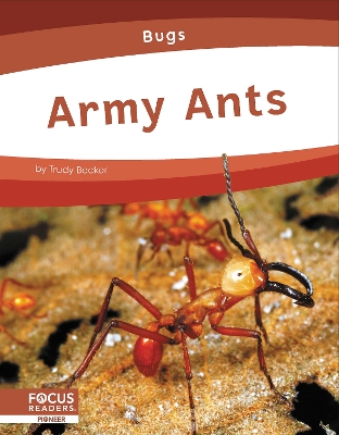 Book cover for Army Ants