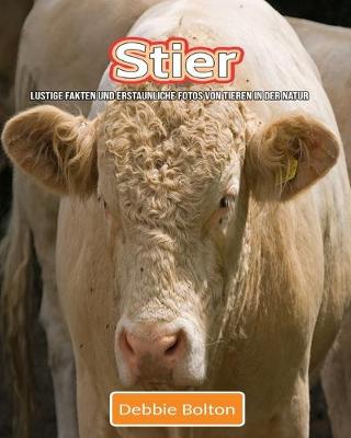Book cover for Stier