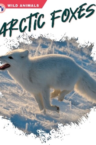 Cover of Arctic Foxes