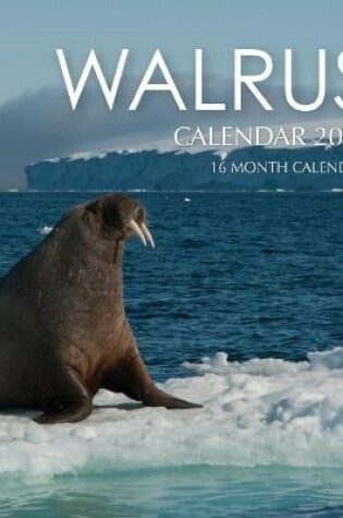 Cover of Walrus Calendar 2021