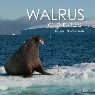 Book cover for Walrus Calendar 2021