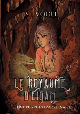 Book cover for Le royaume d'Eigam