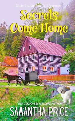 Book cover for Secrets Come Home