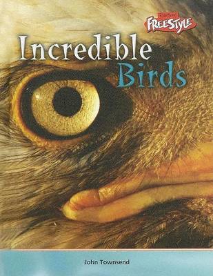 Book cover for Incredible Birds