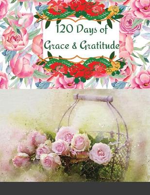 Book cover for 120 Days of Grace & Gratitude