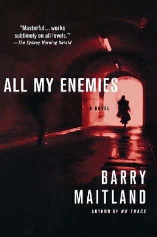Cover of All My Enemies