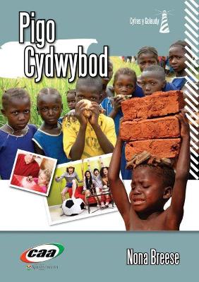 Cover of Cyfres y Goleudy: Pigo Cydwybod