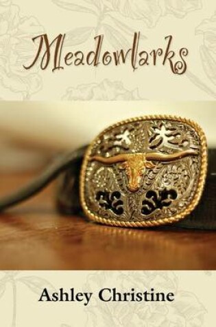 Cover of Meadowlarks