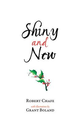 Book cover for Shiny and New