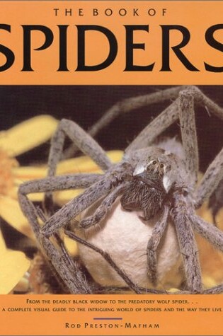 Cover of The Book of Spiders