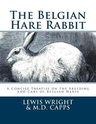 Book cover for The Belgian Hare Rabbit