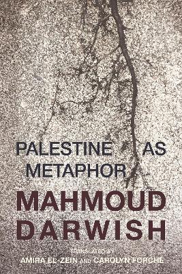 Book cover for Palestine As Metaphor