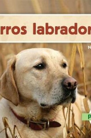Cover of Perros Labradores (Labrador Retrievers) (Spanish Version)