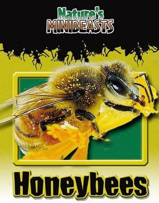 Cover of Honeybees