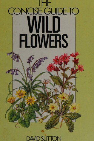 Cover of The Concise Guide to Wild Flowers