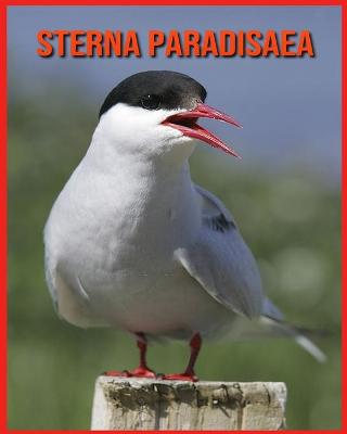 Book cover for Sterna Paradisaea