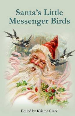 Book cover for Santa's Little Messenger Birds