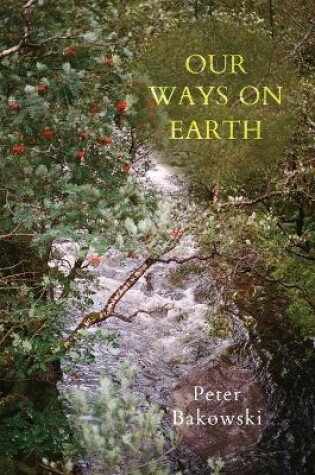 Cover of Our Ways on Earth