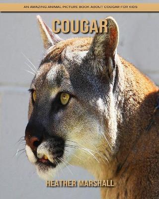 Book cover for Cougar