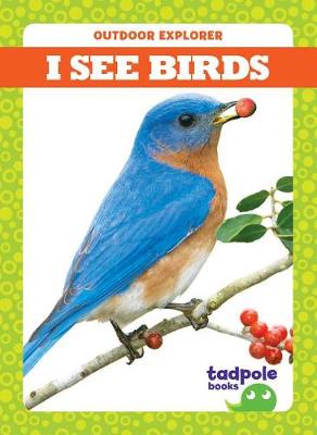 Book cover for I See Birds