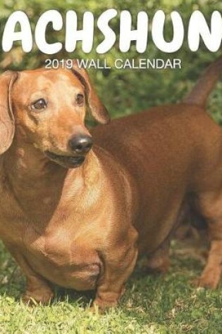 Cover of Dachshund 2019 Wall Calendar