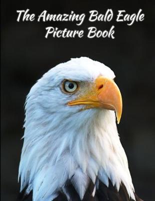 Book cover for The Amazing Bald Eagle Picture Book 8.5 X 11