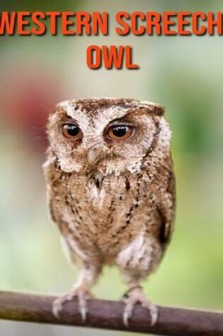 Cover of Western Screech Owl