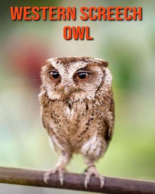 Book cover for Western Screech Owl