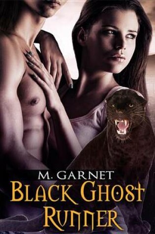 Cover of Black Ghost Runner