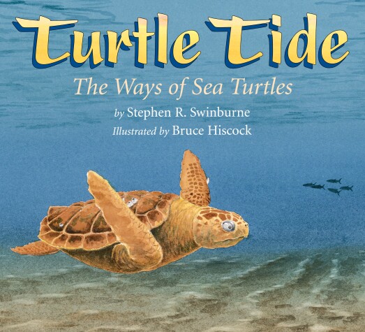 Book cover for Turtle Tide