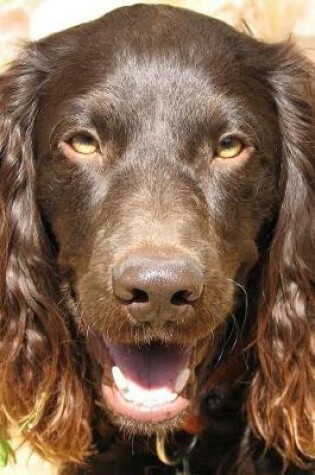 Cover of Boykin Spaniel Dog Journal