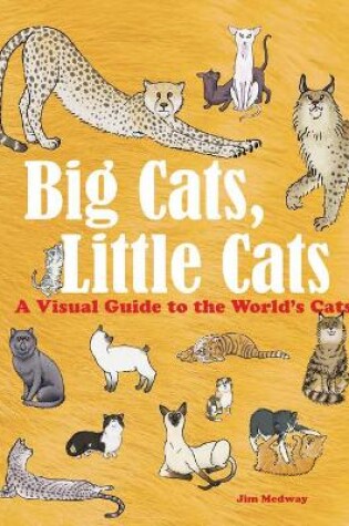 Cover of Big Cats, Little Cats